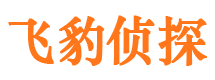 龙山市侦探调查公司